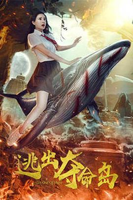 无遮挡又黄又爽的视频