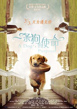 亚洲va国产va欧美va综合
