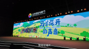 美女又黄又免费