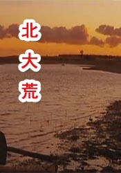 男操女视频免费